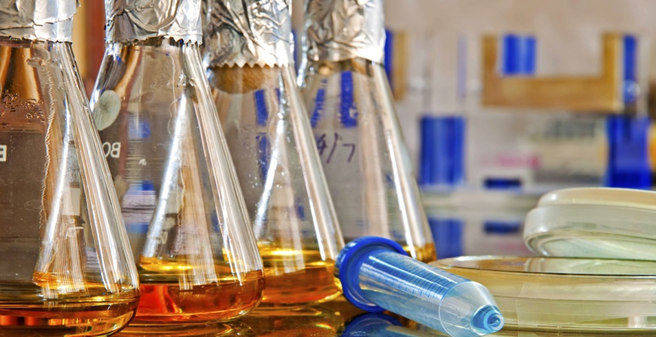 1101無(wú)菌檢查法——培養(yǎng)基適用性檢查操作要點(diǎn)（中國(guó)藥典2020年版四部）