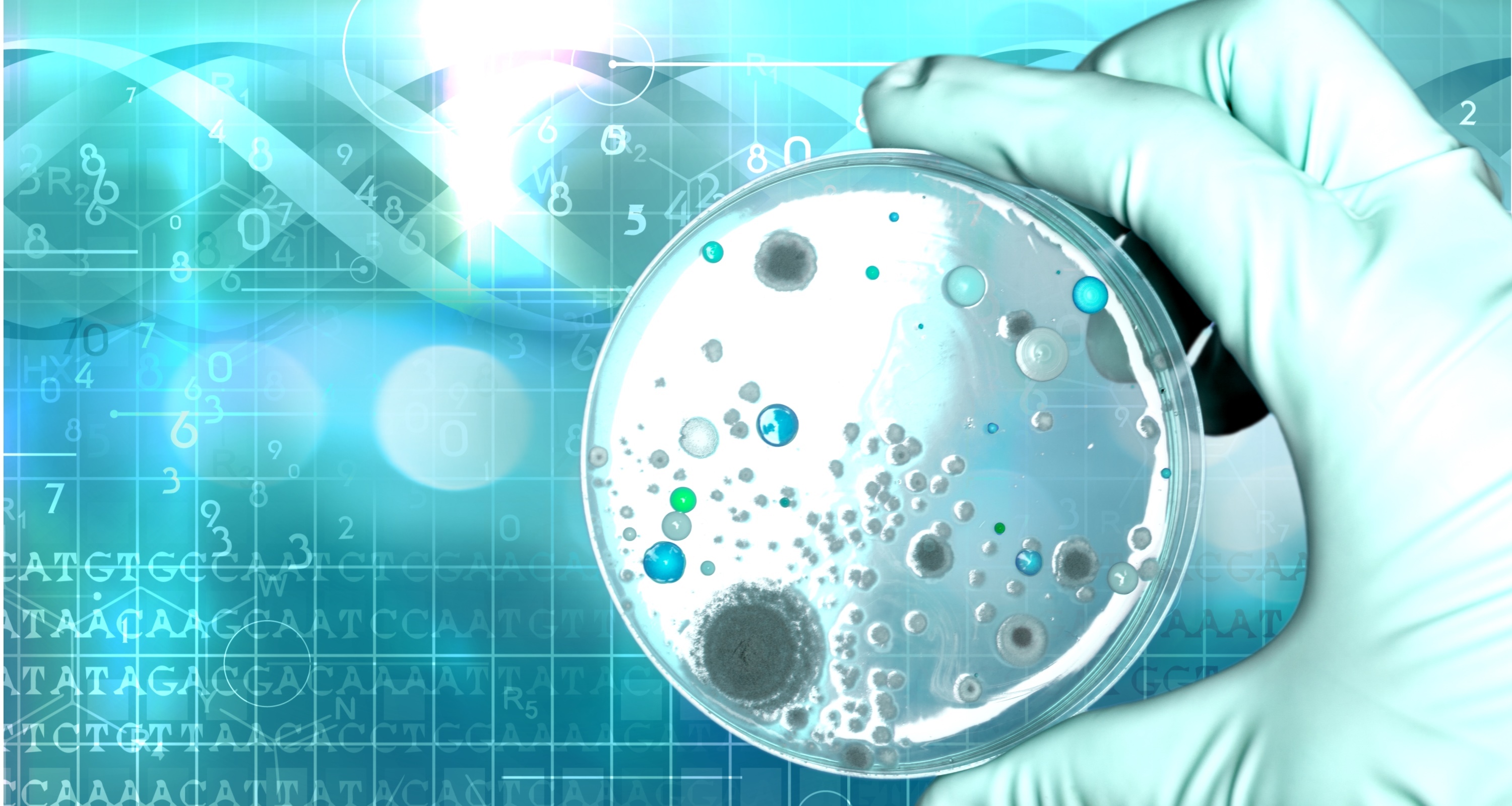 常見(jiàn)菌株保藏法的優(yōu)缺點(diǎn)對(duì)比