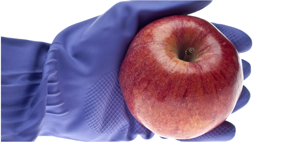 北京陸橋邀您參加2024 食品安全與檢測技術(shù)創(chuàng)新論壇，共同探討GB4789.28-2024