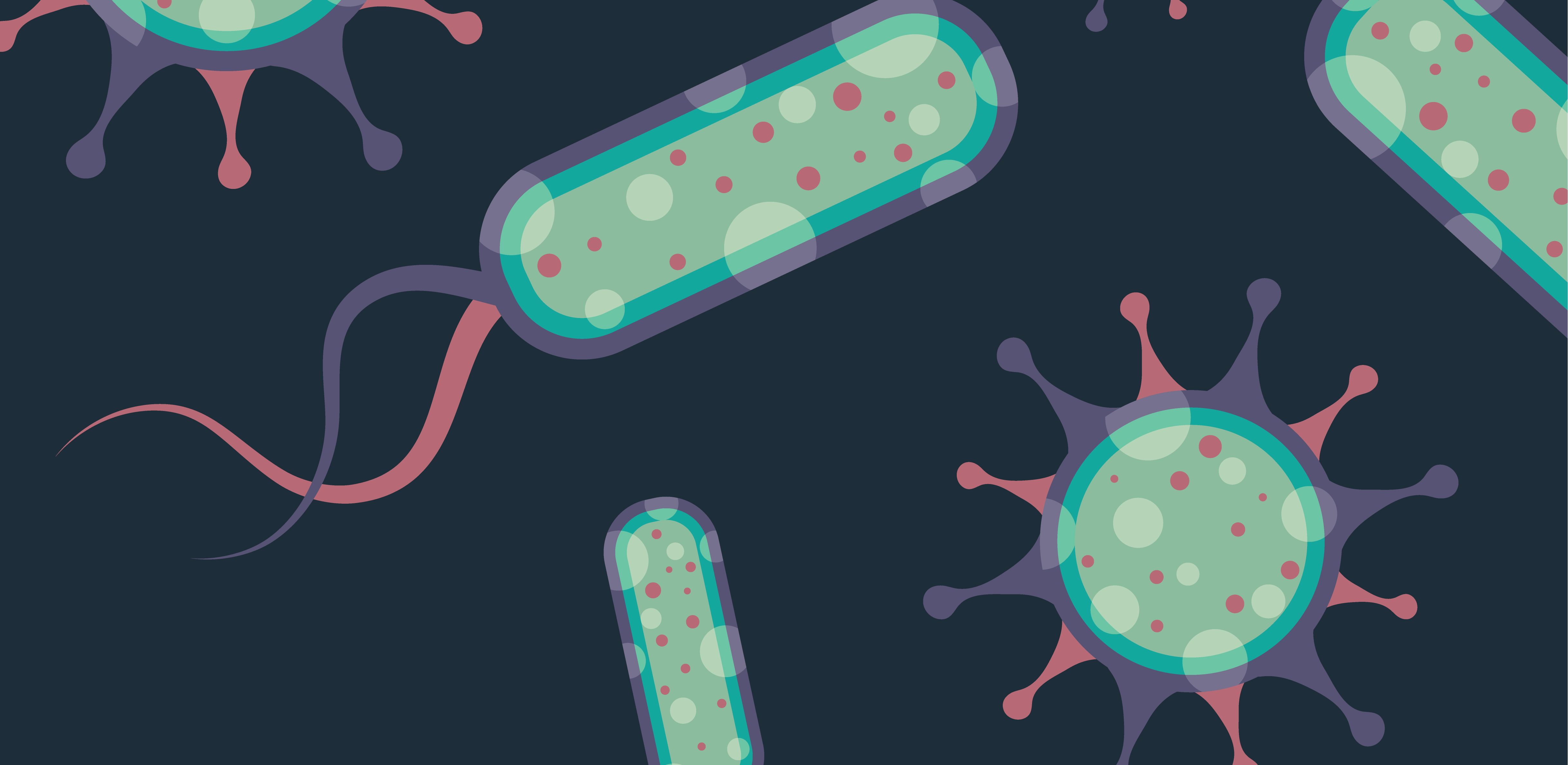 誰是芽胞桿菌中的“運動健將”？