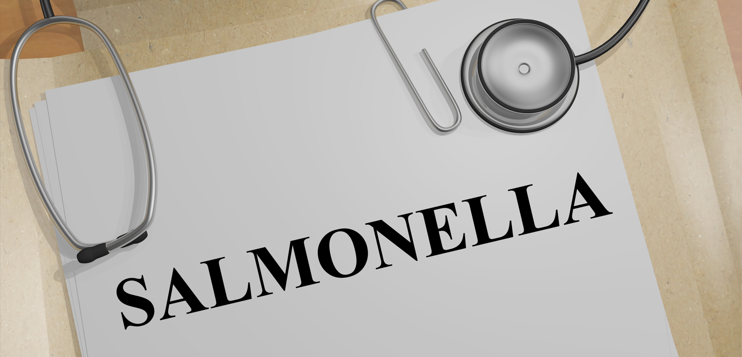 沙門檢測(cè)新助手—沙門氏+顯色培養(yǎng)基